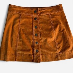 Velveteen A-Line Mini Skirt: Button-Front Edition